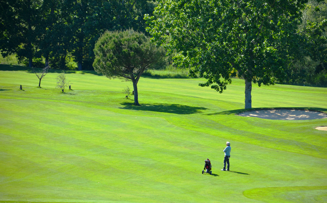 campo-rivieragolf