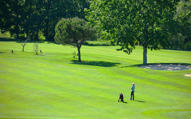 campo-rivieragolf