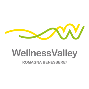 wellnessvalley